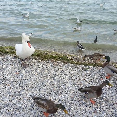 Antico Convento Apartment Moniga del Garda ภายนอก รูปภาพ