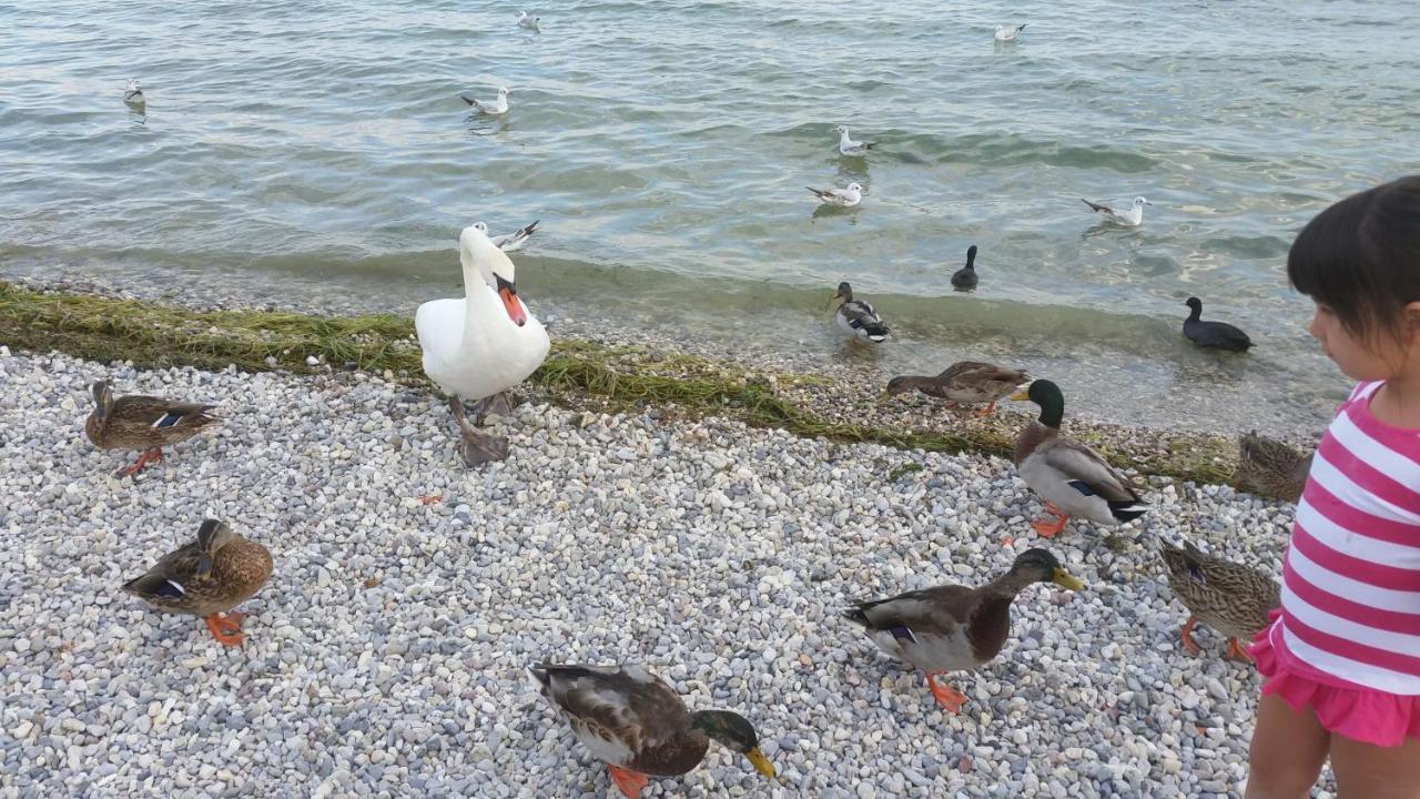 Antico Convento Apartment Moniga del Garda ภายนอก รูปภาพ